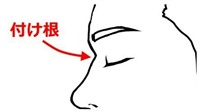 鼻の付け根を自力で高くする方法